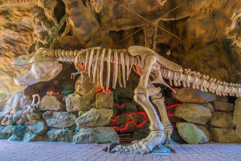 Parque Terra Mágica Florybal